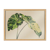 Blake Spotted Leaves Neutral Framed Printed Glass by kateandlaurel - product image 17 for Resin Society