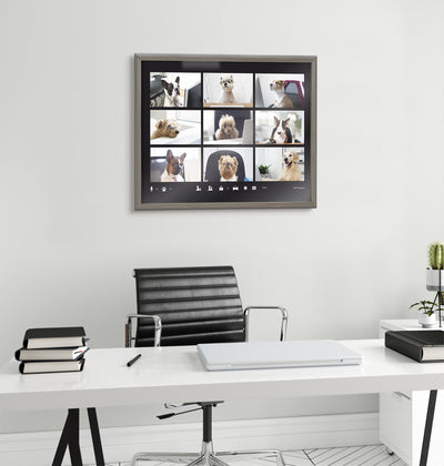 Blake Video Chat Dogs Framed Printed Glass by The Creative Bunch Studio by kateandlaurel - product image 7 for Resin Society