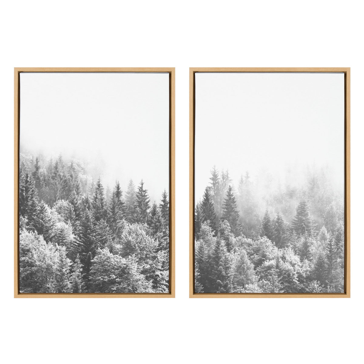 Sylvie Forest On A Foggy Day Black and White Framed Canvas Set by The by kateandlaurel - main product image for Resin Society