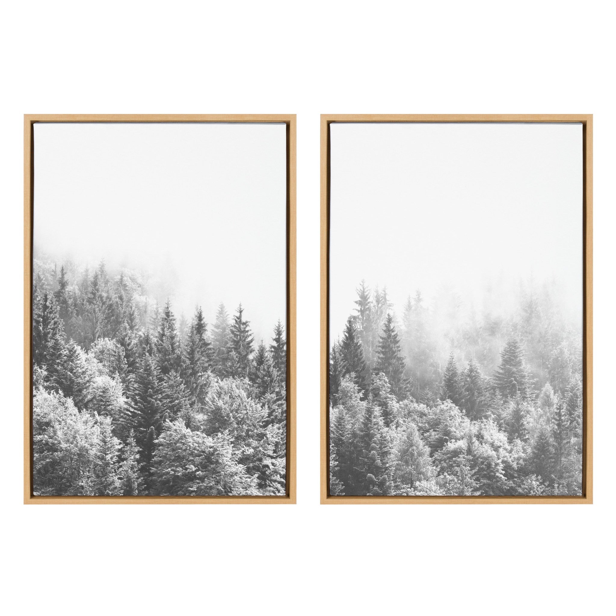 Sylvie Forest On A Foggy Day Black and White Framed Canvas Set by The by kateandlaurel - main product image for Resin Society