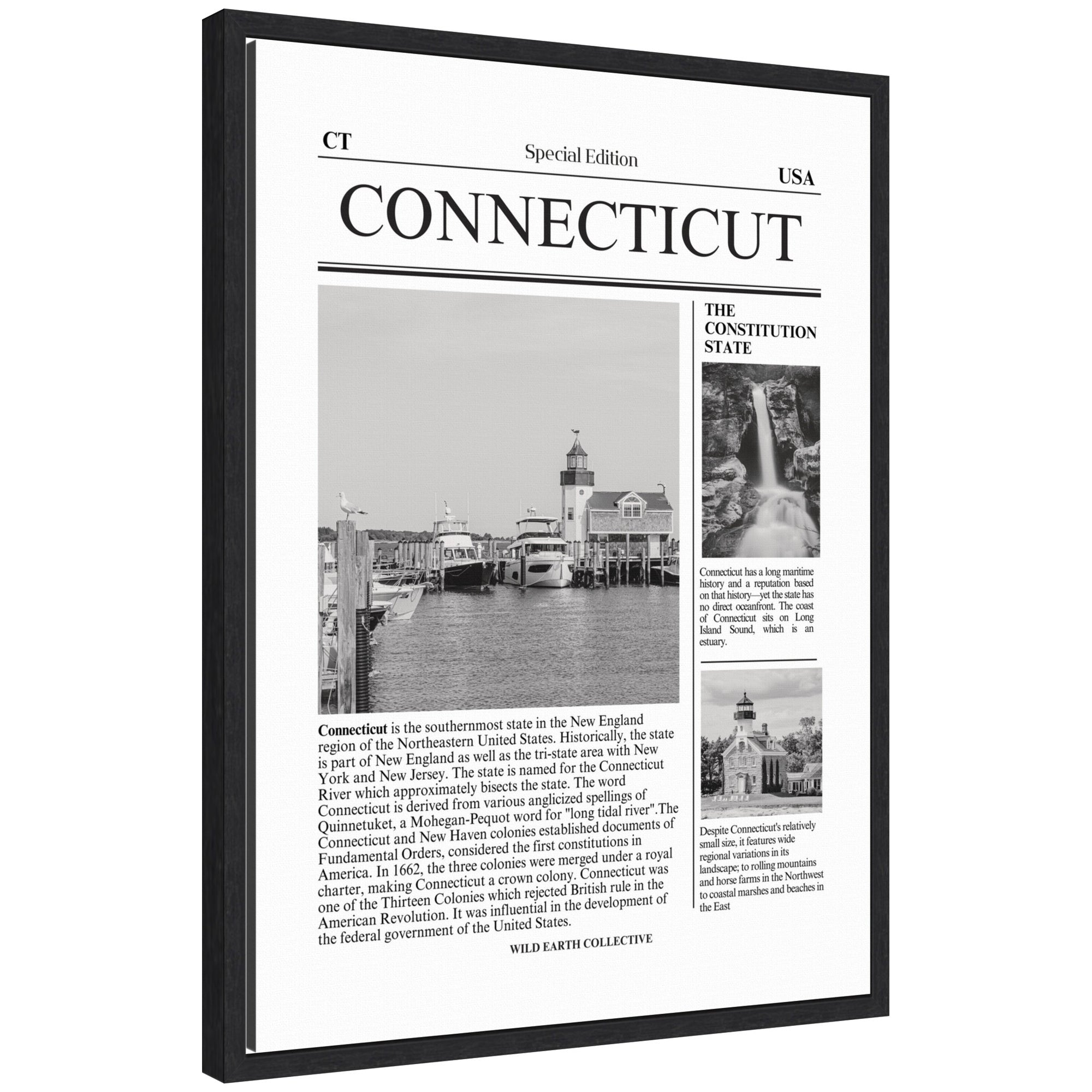 Connecticut Article by Megan Ryan framed canvas print in black Sylvie frame on wall