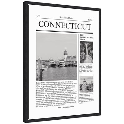 Connecticut Article by Megan Ryan framed canvas print in black Sylvie frame on wall