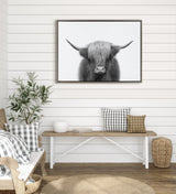 Framed black-and-white photo of a Highland cow with long hair covering its eyes, displayed on a white shiplap wall above a wooden bench with neutral pillows.