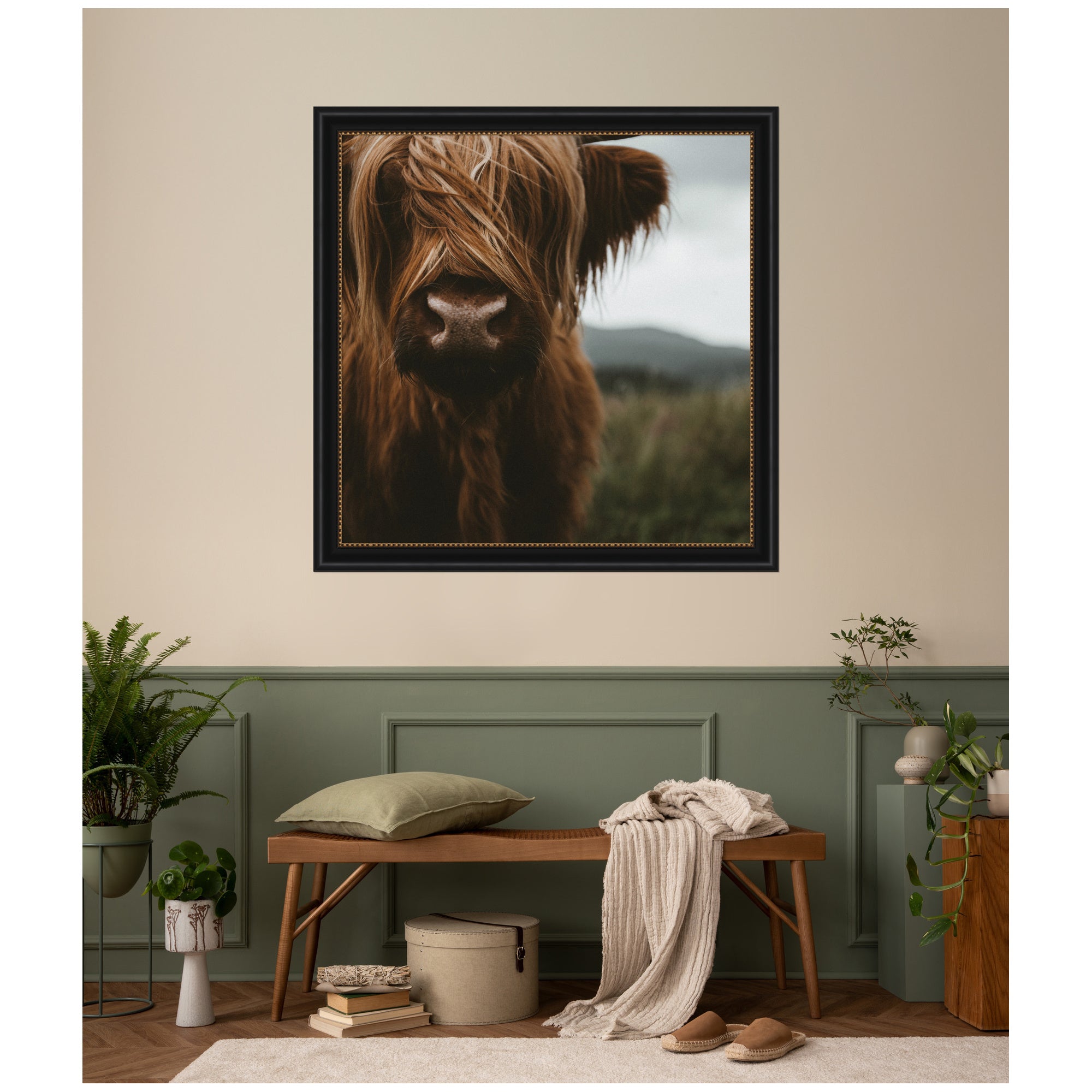 Close Up of Scottish Highland Cattle Baby SQ by Michael Schauer Framed Wall Art Print
