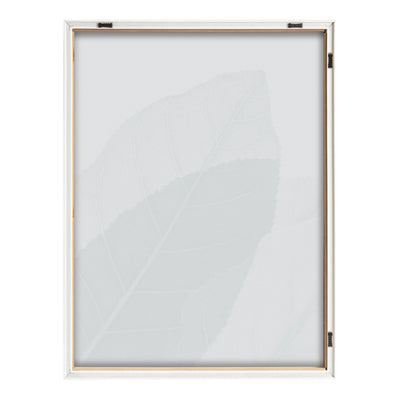 Blake Modern Green Leaf Botanical II Framed Printed Glass by The by kateandlaurel - product image 4 for Resin Society