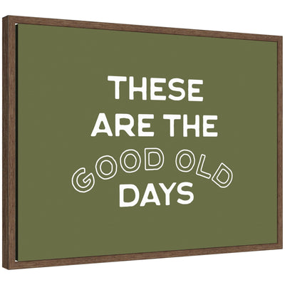 Framed canvas wall art featuring 'These Are the Good Old Days' stamped lettering in sage green with walnut brown frame
