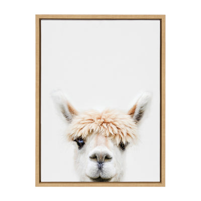Sylvie Alpaca Bangs Framed Canvas by Amy Peterson Art Studio