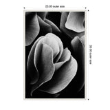 Close-up black and white photo of overlapping flower petals with soft textures and shadows, framed with a detailed white border measuring 23 by 33 inches.