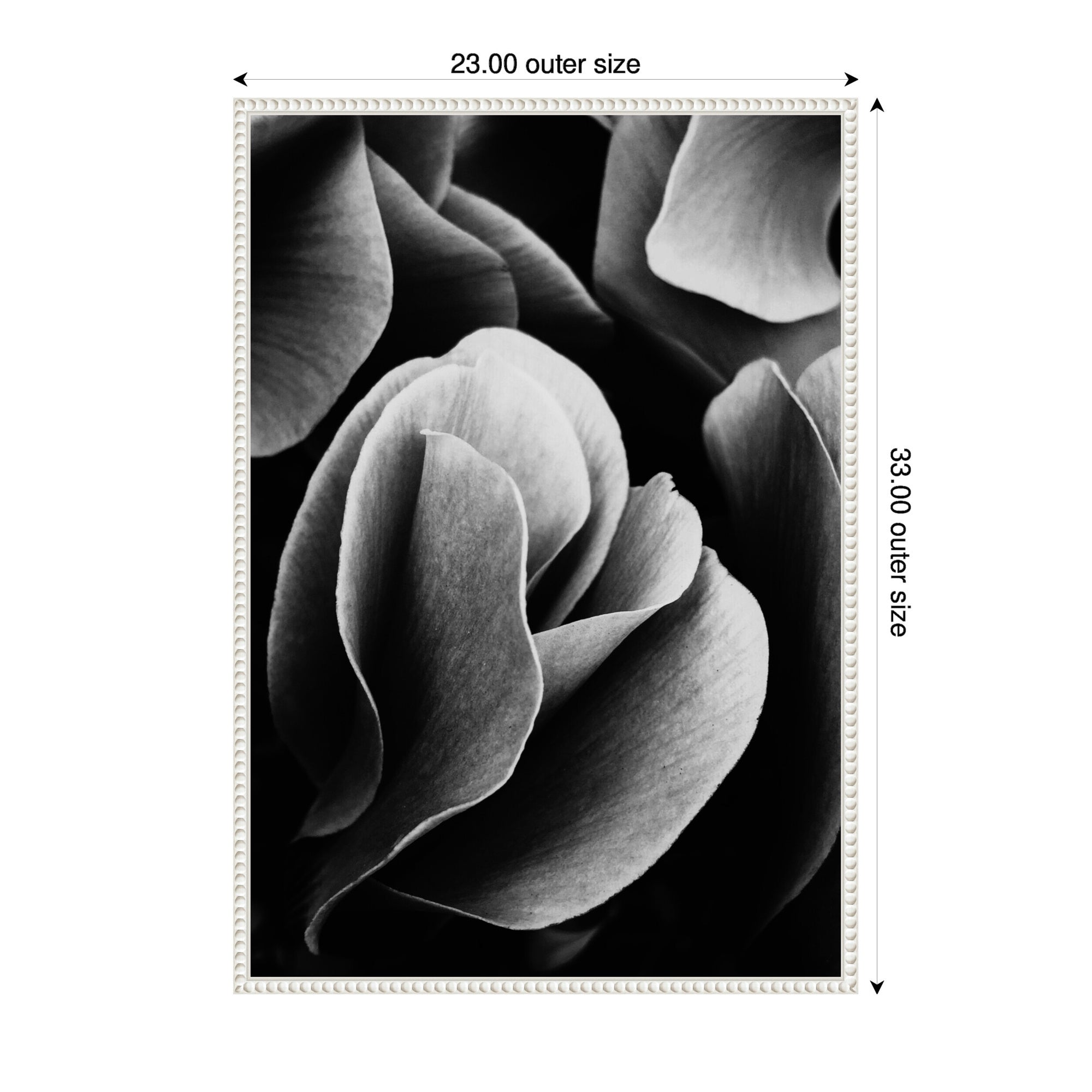 Sylvie Black and White Flower Petals Framed Canvas by Emiko and Mark Franzen of F2Images