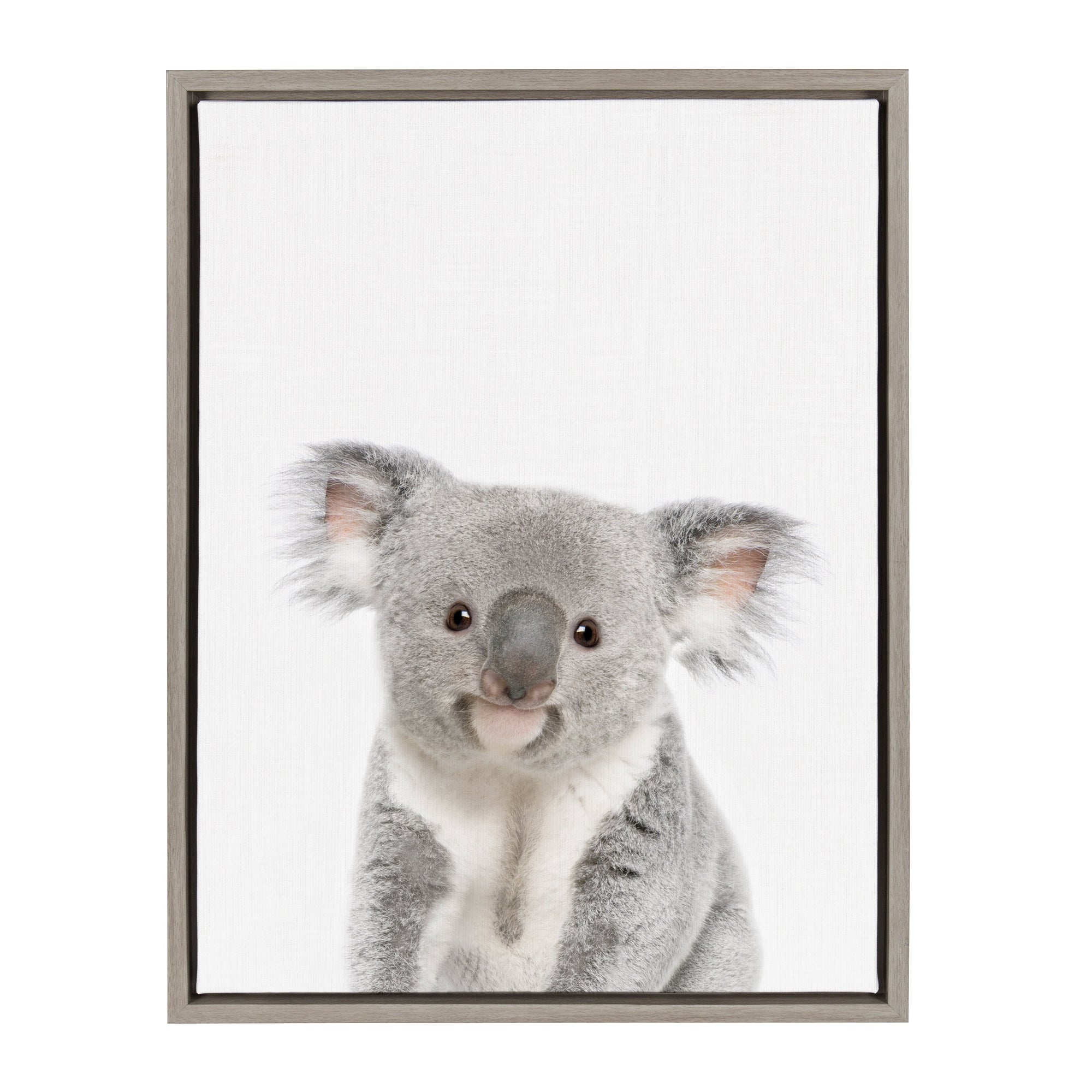 Sylvie Koala Framed Canvas by Amy Peterson Art Studio by kateandlaurel - product image 8 for Resin Society