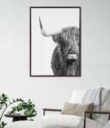 Black and white framed canvas showing the right half of a shaggy Highland cow's face with a prominent curved horn on a plain white background, hanging above a chair with a beige pillow and gray throw.