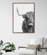 Black and white photograph of a Highland cow with shaggy fur and one prominently visible horn, framed on a plain white wall above a chair with neutral cushions and a nearby green plant.