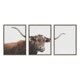 Sylvie Texas Longhorn Cow Lick 1 2 3 Framed Canvas by kateandlaurel - product image 2 for Resin Society
