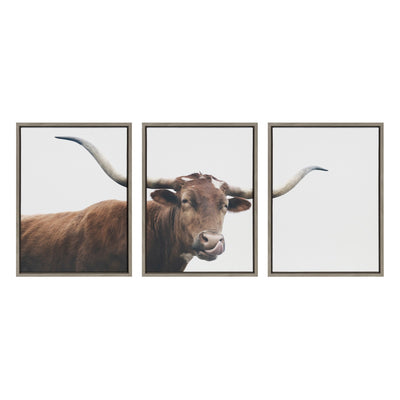 Sylvie Texas Longhorn Cow Lick 1 2 3 Framed Canvas by kateandlaurel - product image 2 for Resin Society