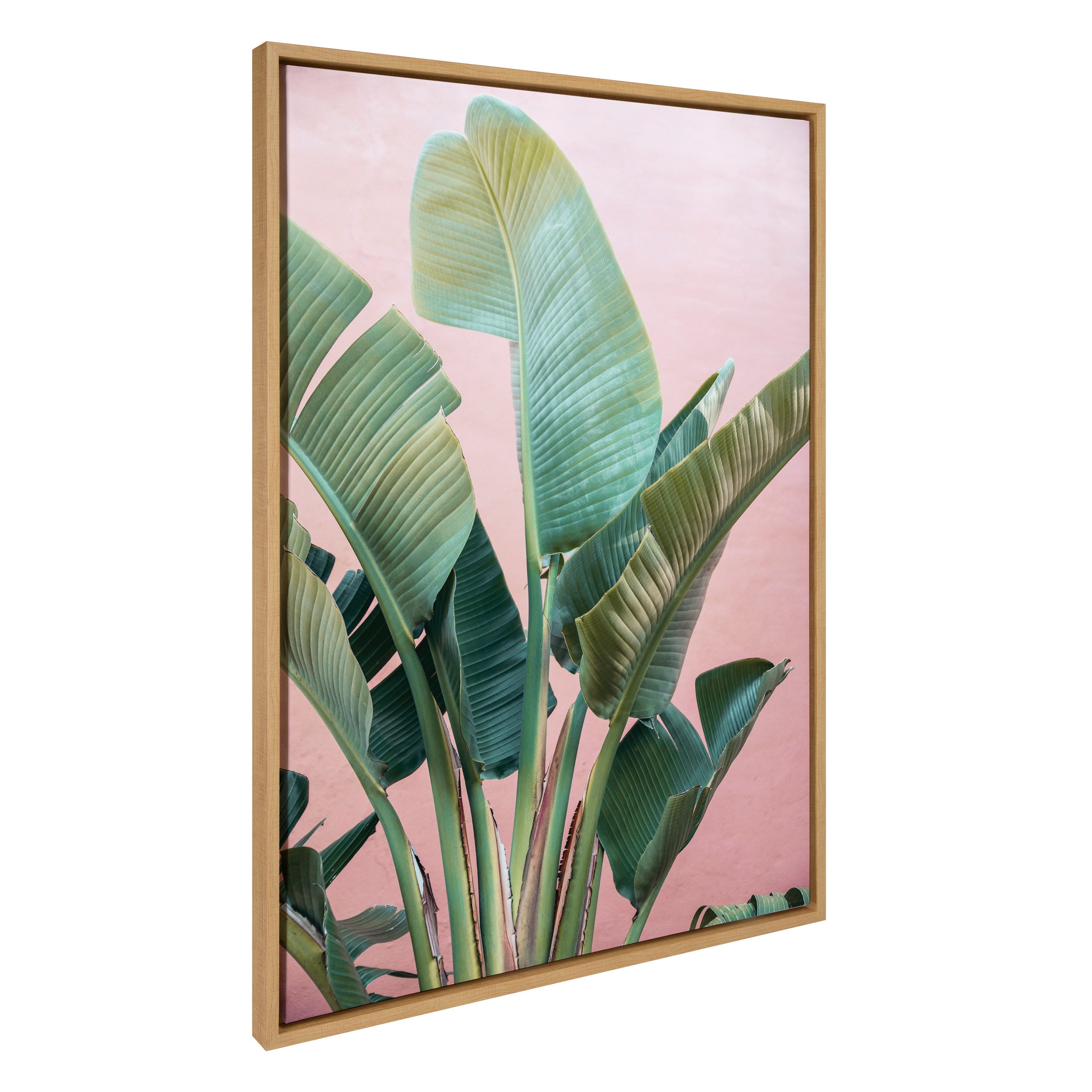 Sylvie Tropic Pink Framed Canvas by Alicia Bock