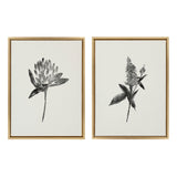 Sylvie Vintage Botanical 1 and 2 Framed Canvas by kateandlaurel - main product image for Resin Society