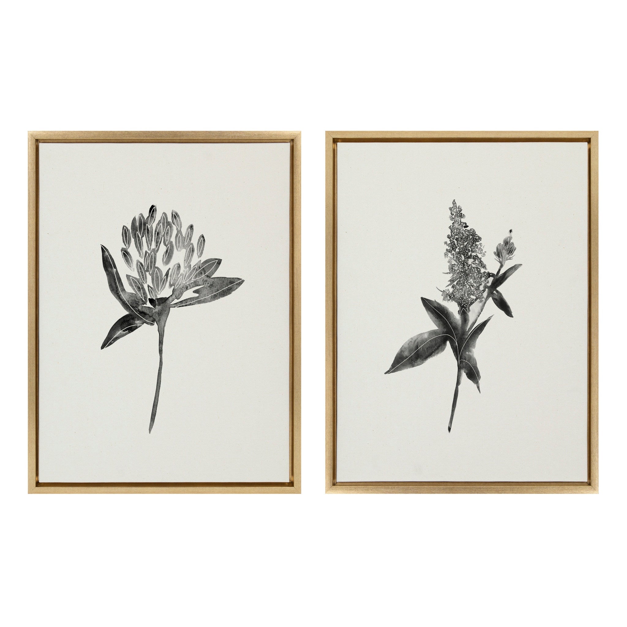 Sylvie Vintage Botanical 1 and 2 Framed Canvas by kateandlaurel - main product image for Resin Society