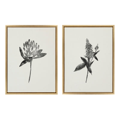 Sylvie Vintage Botanical 1 and 2 Framed Canvas by kateandlaurel - main product image for Resin Society