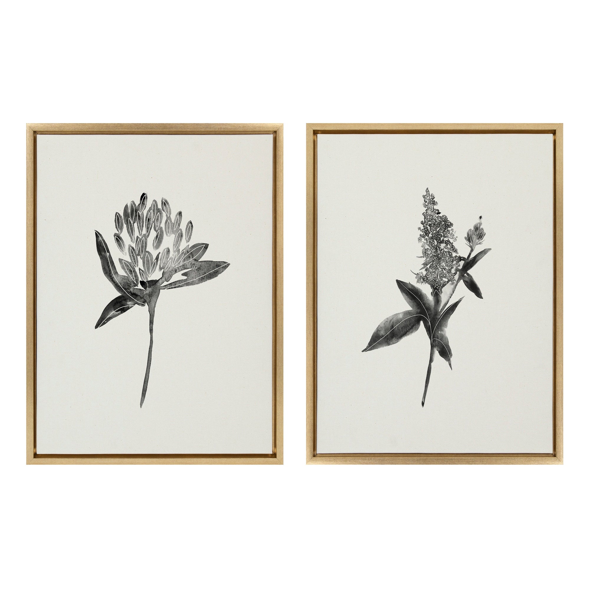 Sylvie Vintage Botanical 1 and 2 Framed Canvas by kateandlaurel - product image 7 for Resin Society