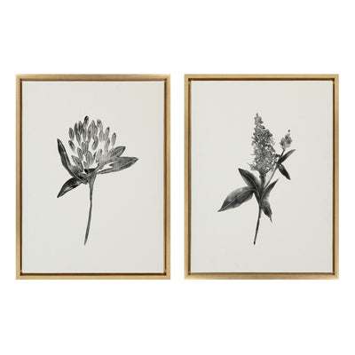 Sylvie Vintage Botanical 1 and 2 Framed Canvas by kateandlaurel - product image 7 for Resin Society