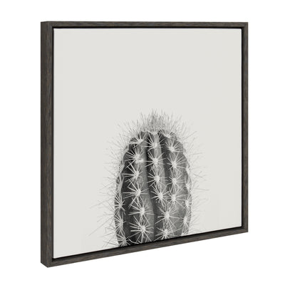 Sylvie Haze Cactus Succulent Tall Framed Canvas by kateandlaurel - product image 11 for Resin Society