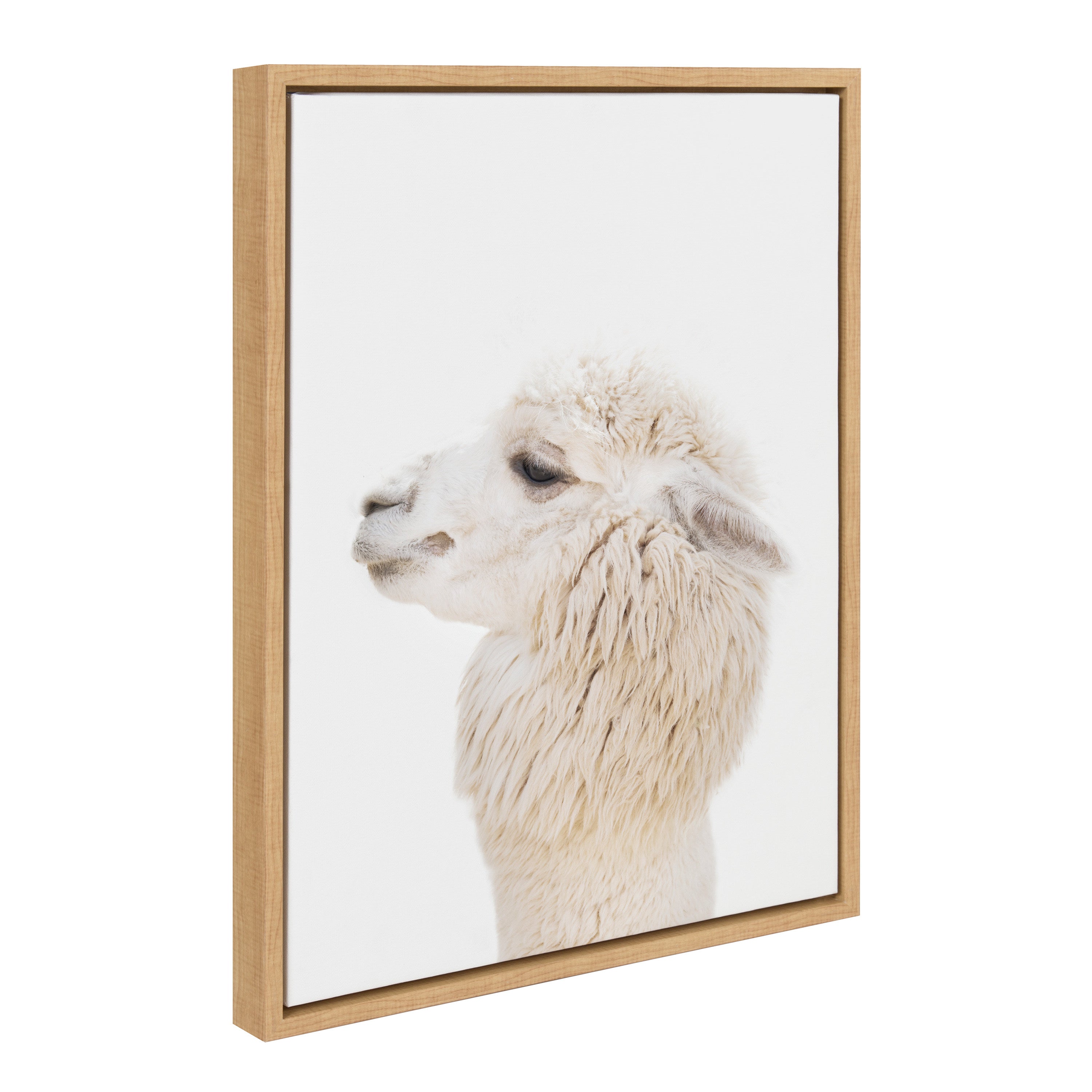 Sylvie Animal Studio Alpaca Profile Framed Canvas by Amy Peterson Art Studio