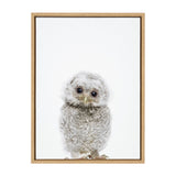 Framed canvas artwork depicting a fluffy gray and white owl with large dark eyes against a white background, by Amy Peterson Art Studio.