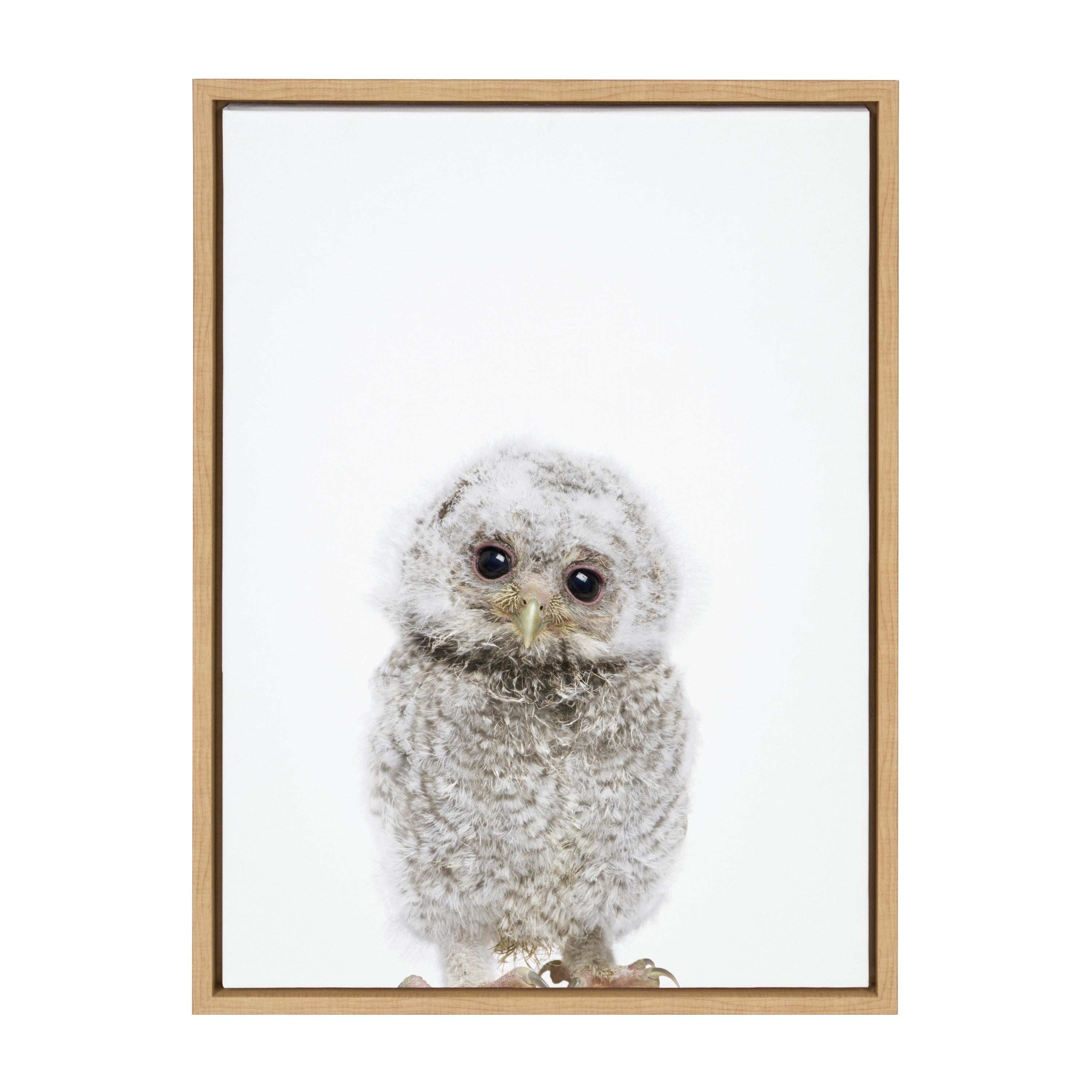 Sylvie Animal Studio Owl Framed Canvas by Amy Peterson Art Studio