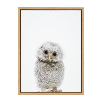 Sylvie Animal Studio Owl Framed Canvas by Amy Peterson Art Studio