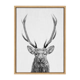Black and white close-up of a red deer with large antlers, centered on a white background within a light wooden frame.
