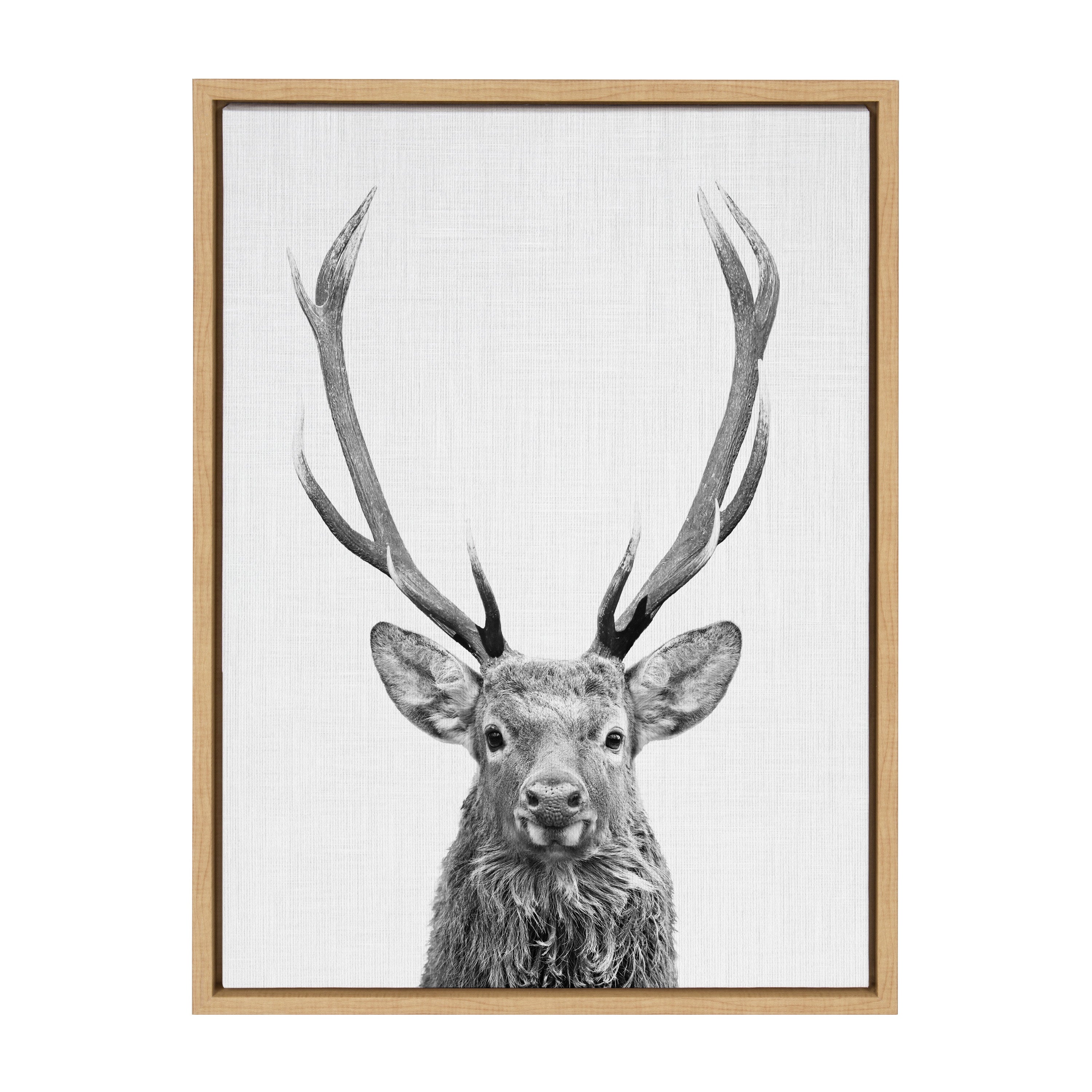 Sylvie The Red Deer BW Framed Canvas by Simon Te of Tai Prints