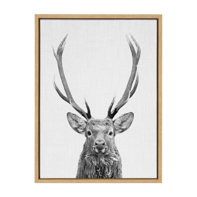 Sylvie The Red Deer BW Framed Canvas by Simon Te of Tai Prints