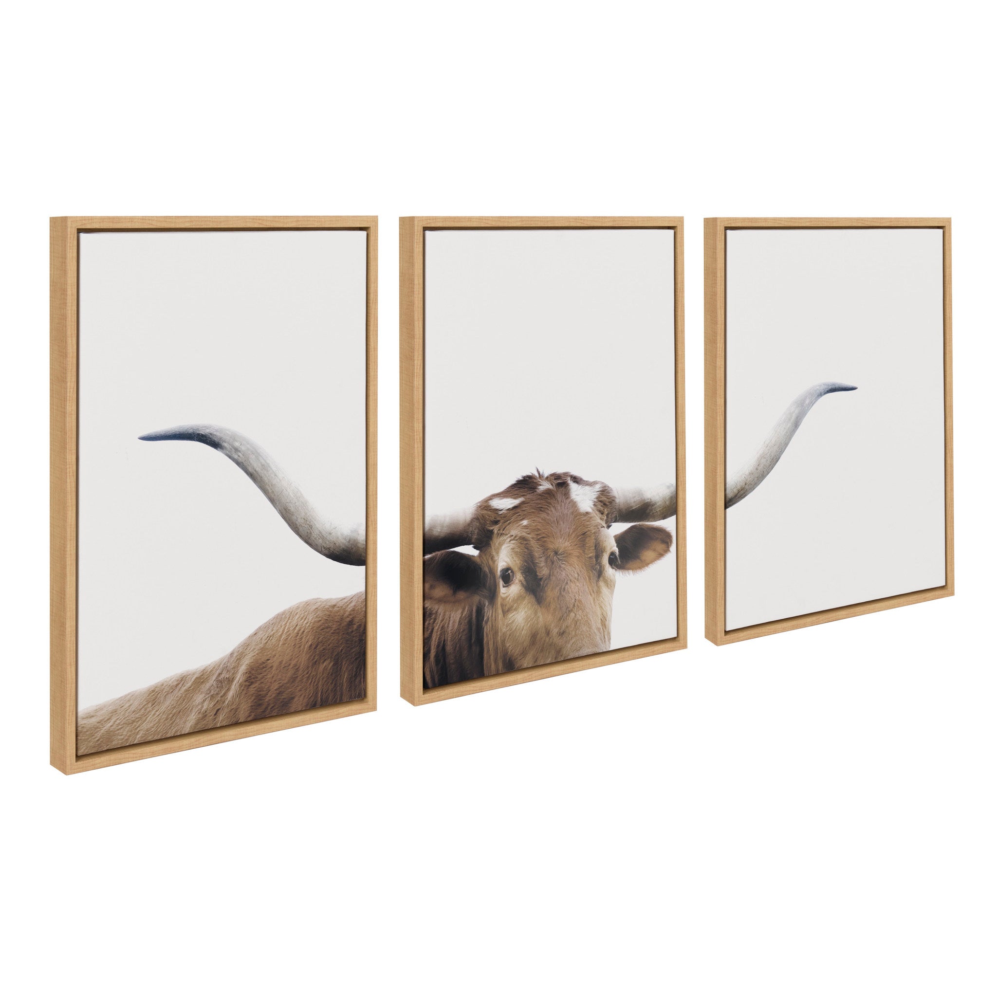 Sylvie Texas Longhorn 1 2 3 Framed Canvas by kateandlaurel - main product image for Resin Society