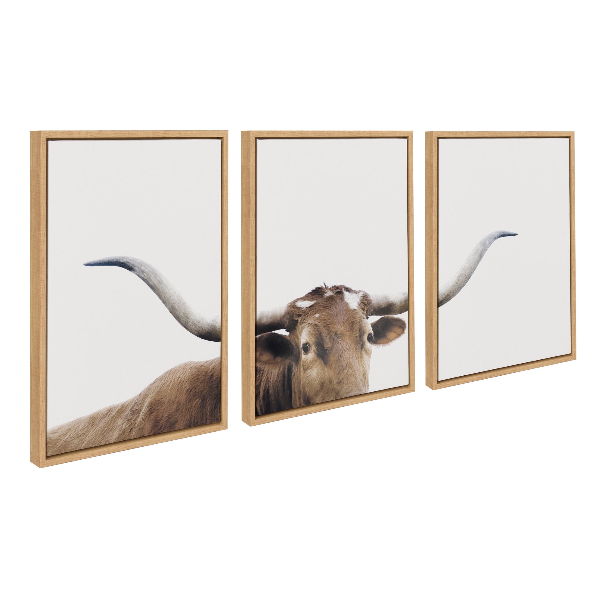 Sylvie Texas Longhorn 1 2 3 Framed Canvas by kateandlaurel - product image 7 for Resin Society