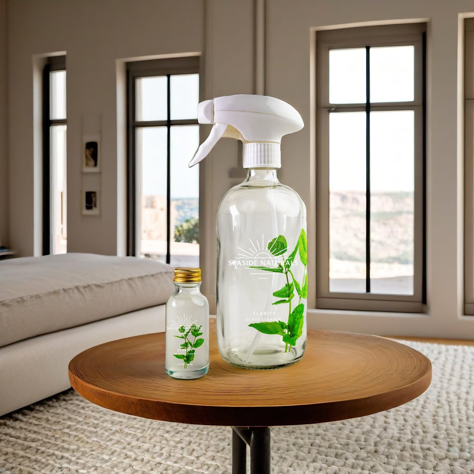 Clarity Glass Cleaner Kit displaying reusable glass bottles and plant-based cleaner concentrate