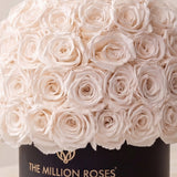 Classic Black Superdome Box by The Million Roses - product image 3 for Resin Society
