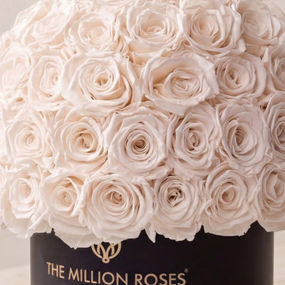 Classic Black Superdome Box by The Million Roses - product image 3 for Resin Society
