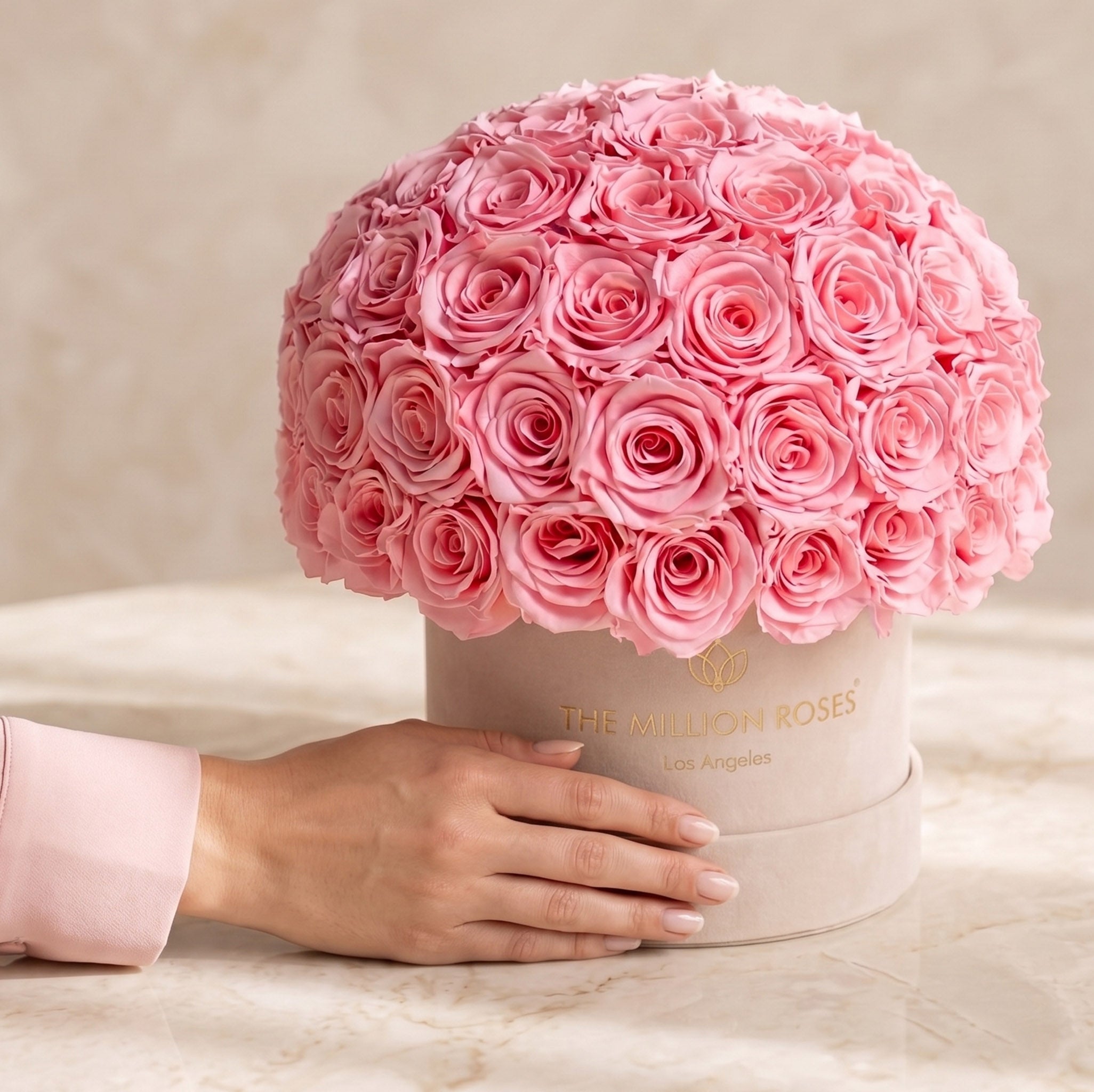 Classic Beige Suede Superdome Box by The Million Roses - product image 4 for Resin Society