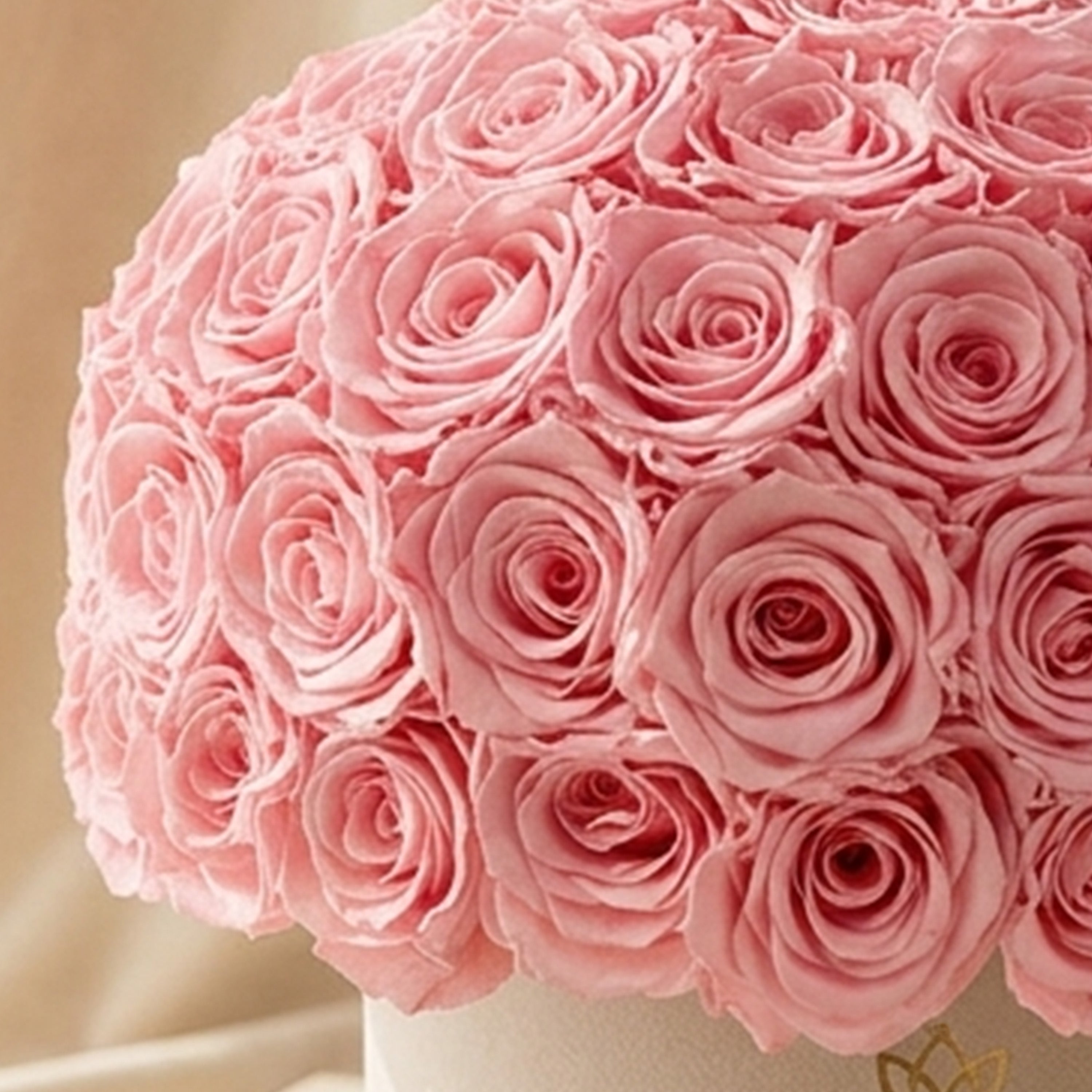 Classic Beige Suede Superdome Box by The Million Roses - product image 3 for Resin Society