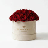 Beige suede dome box filled with 20-22 preserved red roses arranged in a soft-rise dome shape.