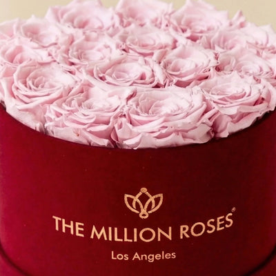 Classic Bordeaux Suede Box | Light Pink Roses