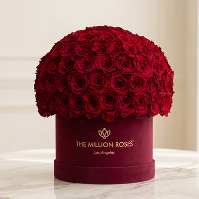Classic Bordeaux Suede Superdome Box by The Million Roses - product image 2 for Resin Society