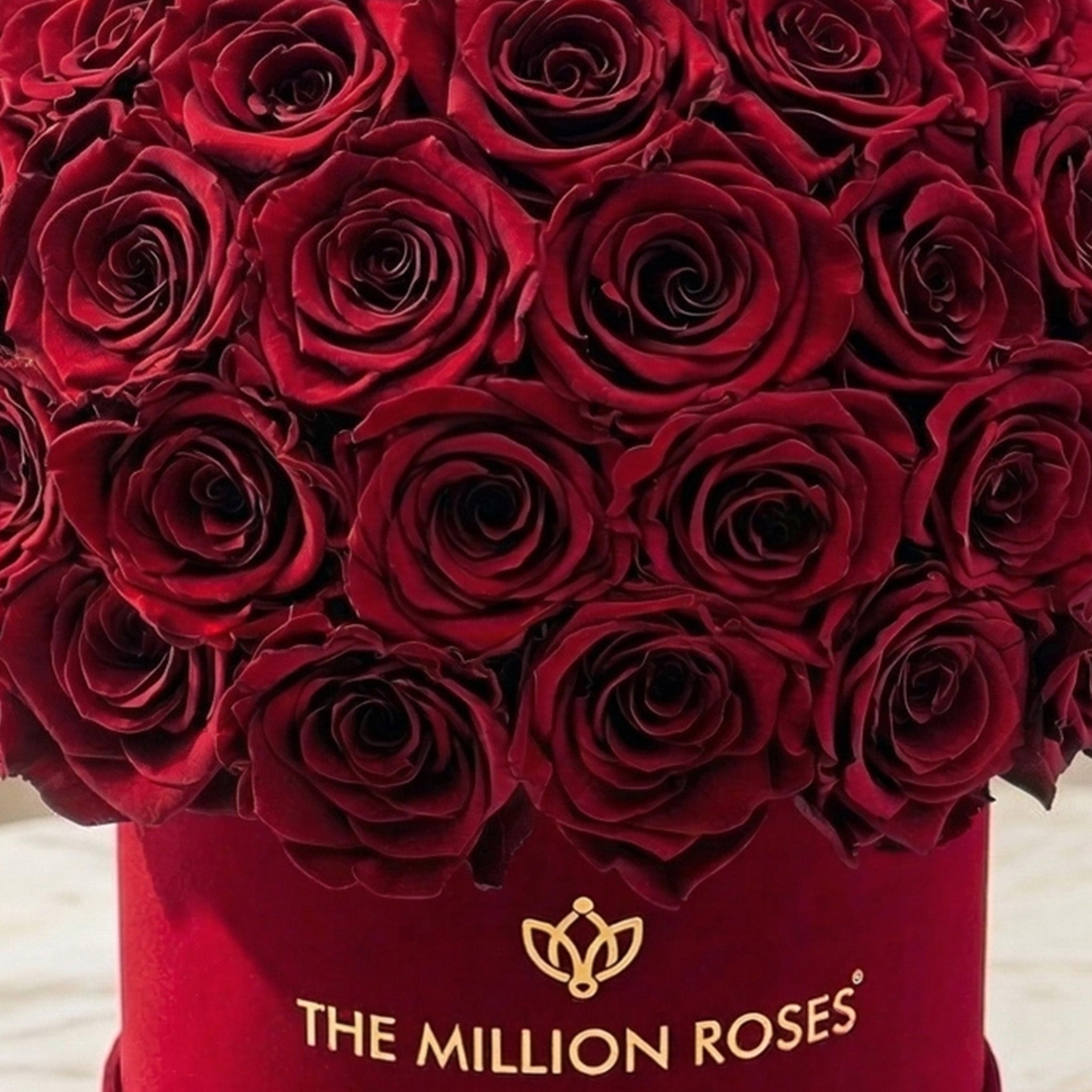 Classic Bordeaux Suede Superdome Box by The Million Roses - product image 3 for Resin Society