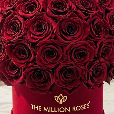Classic Bordeaux Suede Superdome Box by The Million Roses - product image 3 for Resin Society