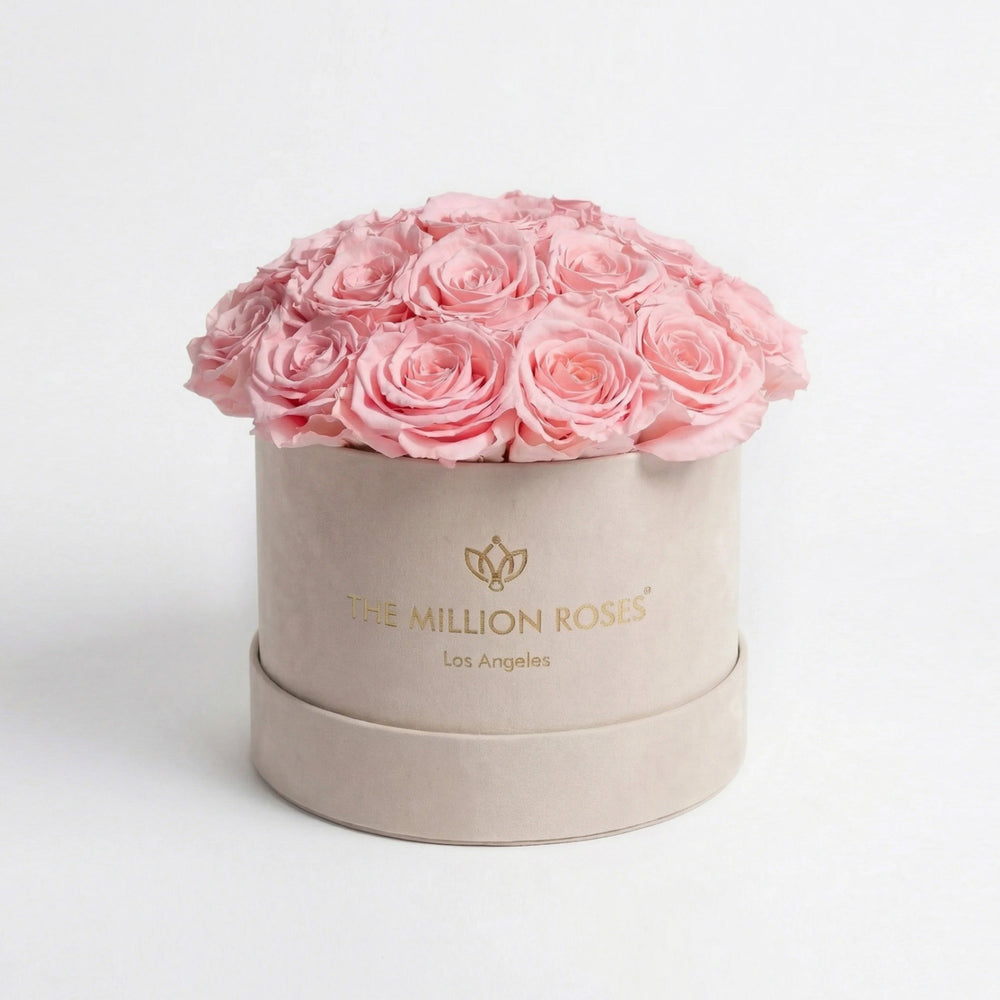 Classic Beige Suede Dome Box filled with light pink roses, shown in a soft beige suede container.