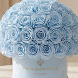 Classic Light Blue Suede Superdome Box by The Million Roses - product image 3 for Resin Society