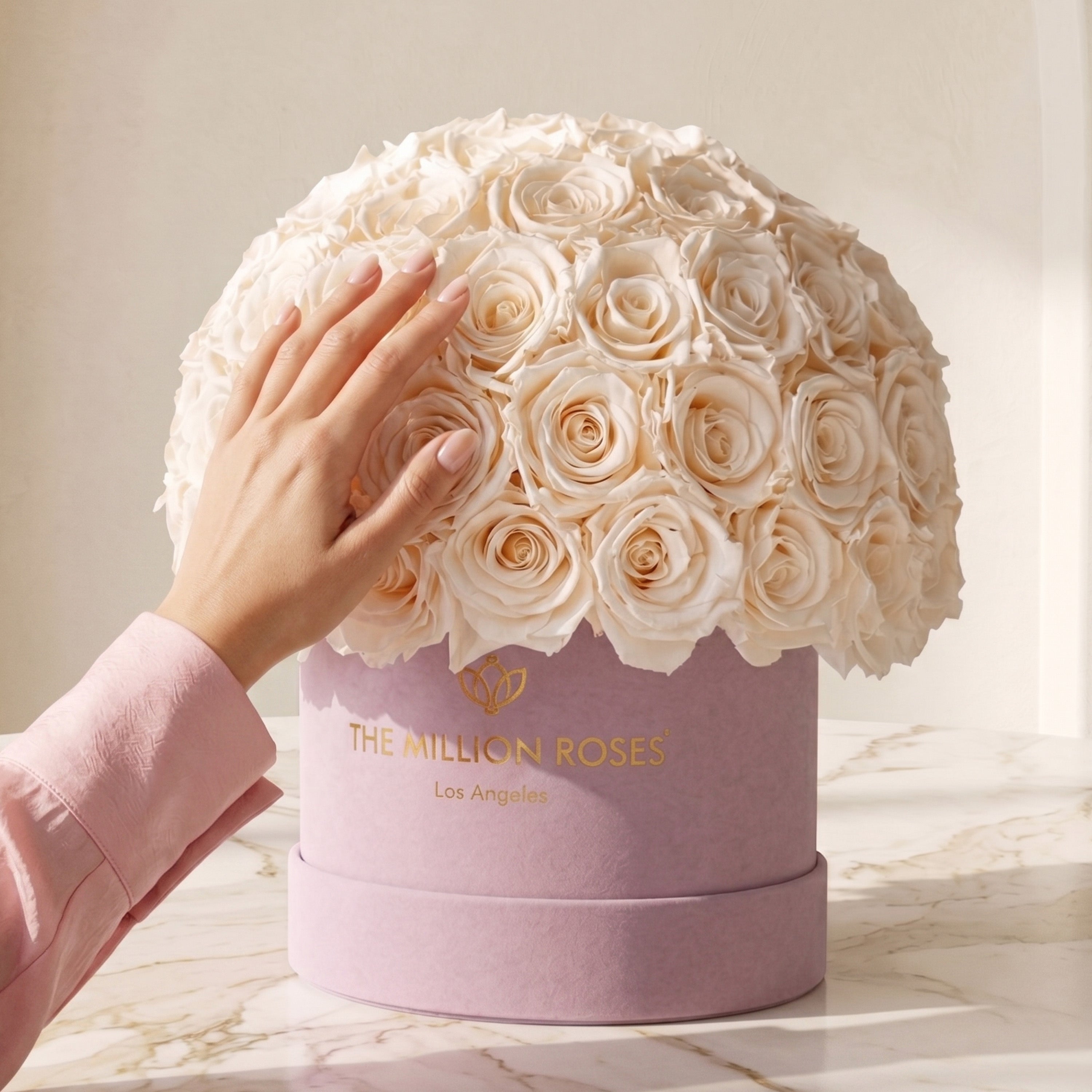 Classic Light Pink Suede Superdome Box by The Million Roses - product image 4 for Resin Society