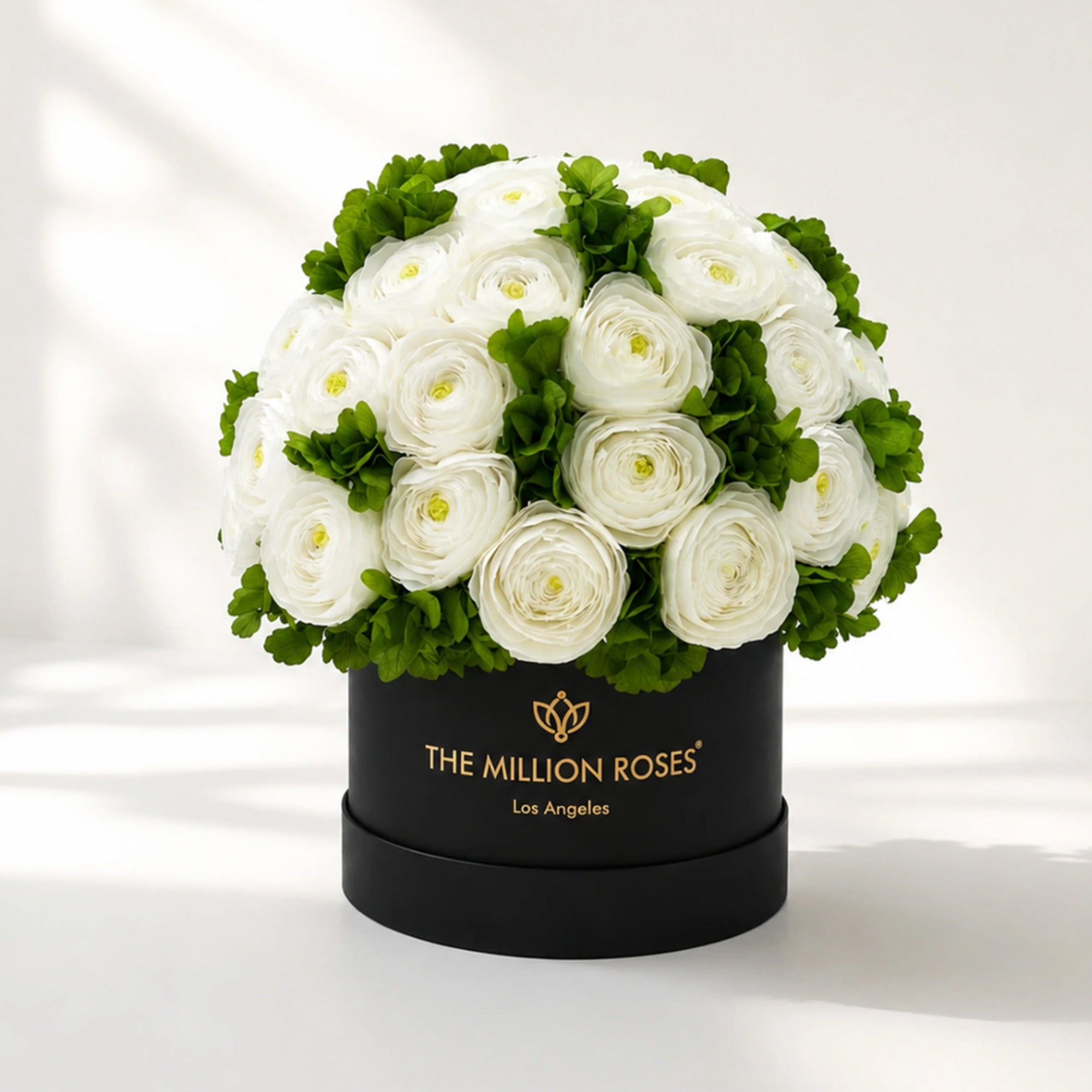 Classic Black Box by The Million Roses - main product image for Resin Society