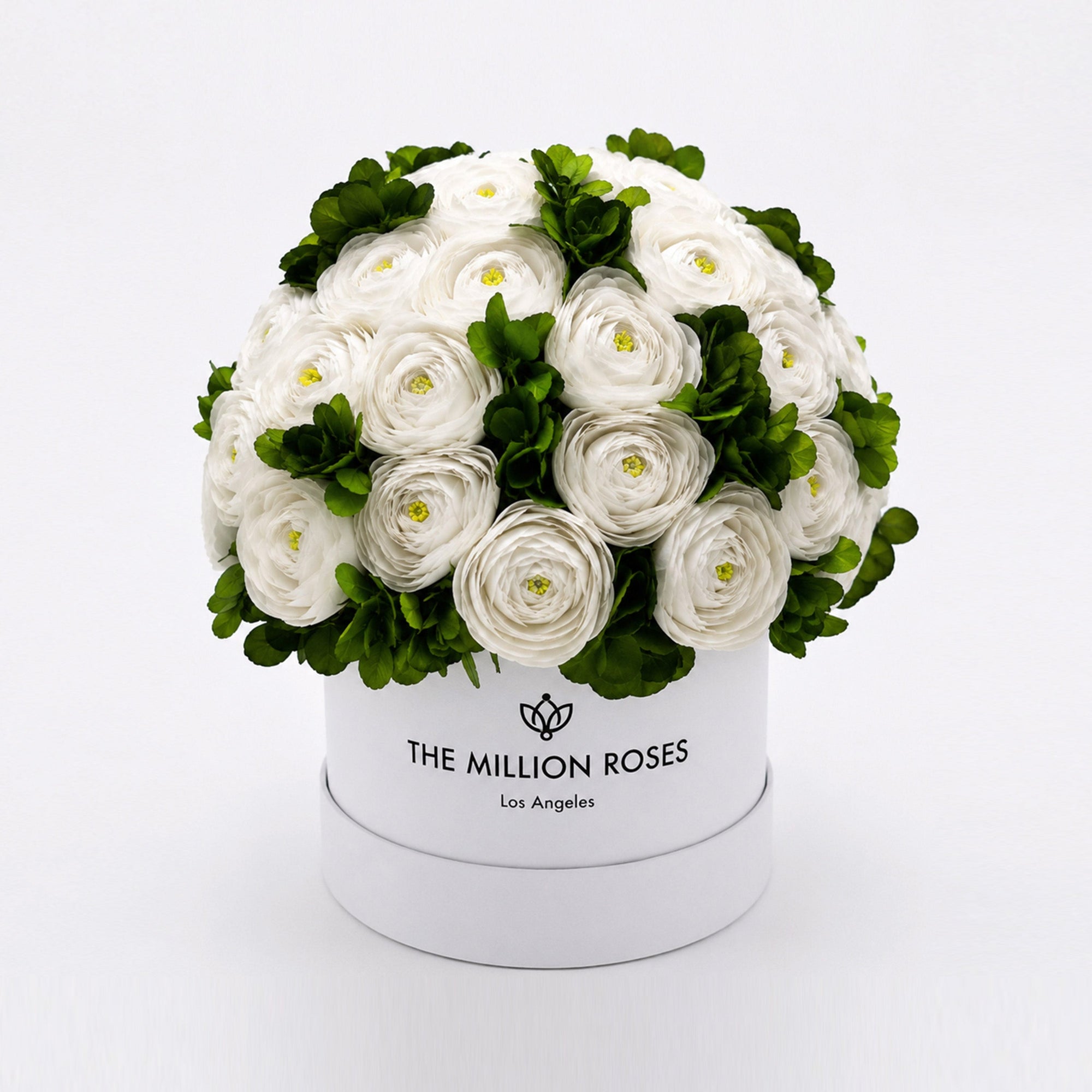 Classic White Box by The Million Roses - main product image for Resin Society