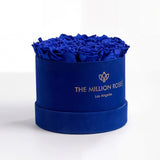 Classic Royal Blue Suede Box with Royal Blue Roses from The Million Roses